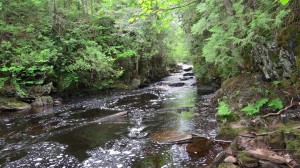 Bad River Watershed